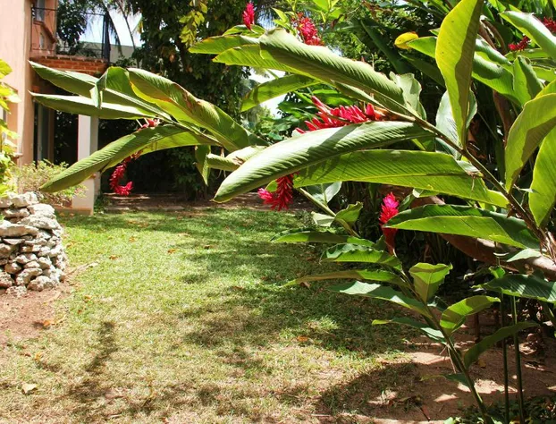 AMAXING Cancun Airport hotel detail image 2