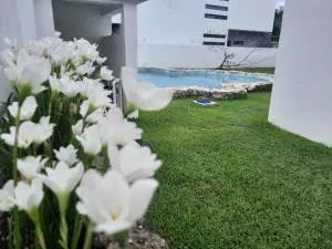 AMAXING Cancun Airport hotel detail image 3