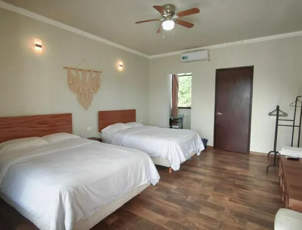 Hotel and Hostel 230 hotel detail image 4