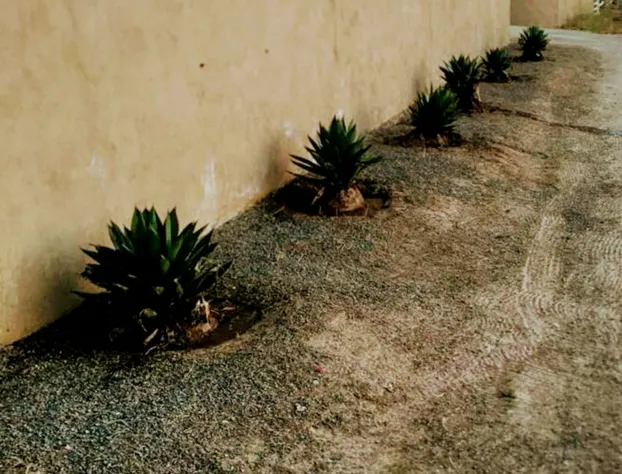 Rancho El Matalote hotel detail image 4