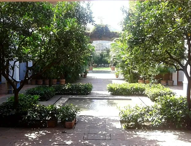 Casa Pixan hotel detail image 2