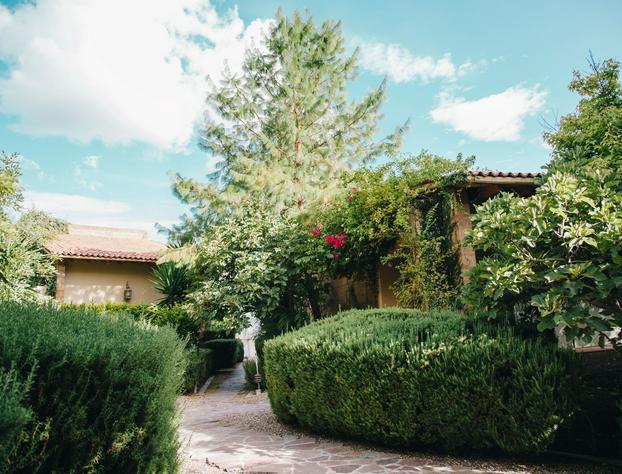 María & Bernardo Casa - Viñedo hotel detail image 4