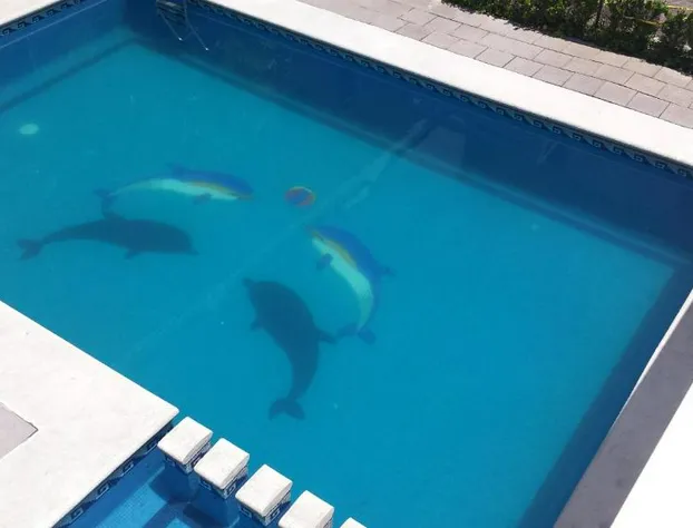 Hotel Posada La Pastrana hotel detail image 4