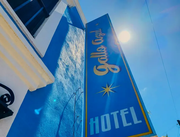 Hotel Gallo Azul Downtown Todos Santos hotel detail image 4