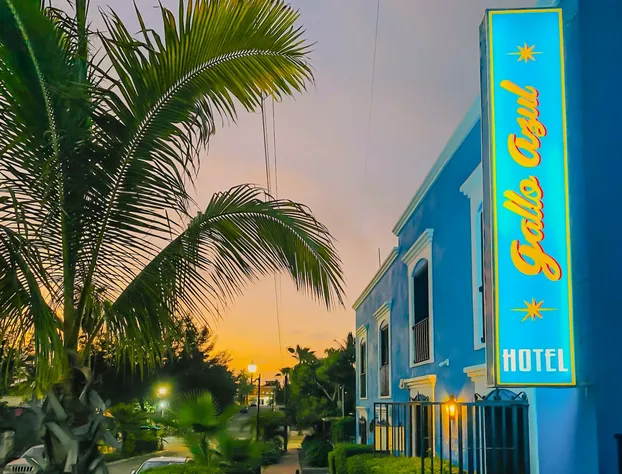 Hotel Gallo Azul Downtown Todos Santos hotel detail image 1