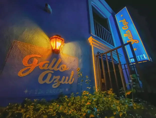 Hotel Gallo Azul Downtown Todos Santos hotel detail image 2