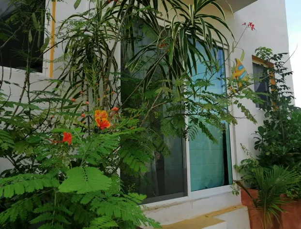 Casa Vainilla hotel detail image 4