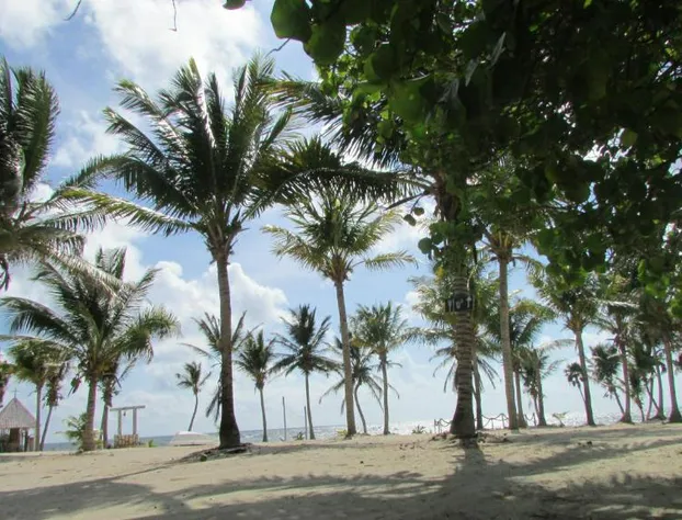 Cabañas Ecoturisticas Costa Maya hotel detail image 2