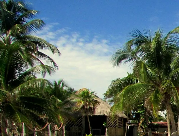 Cabañas Ecoturisticas Costa Maya hotel detail image 4