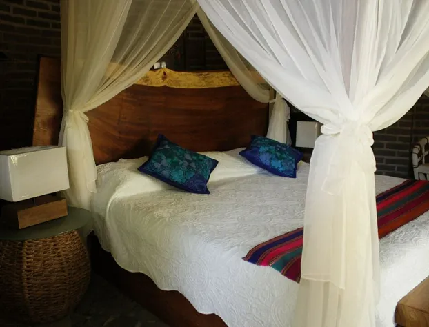 Eco Hotel Tahawi hotel detail image 3