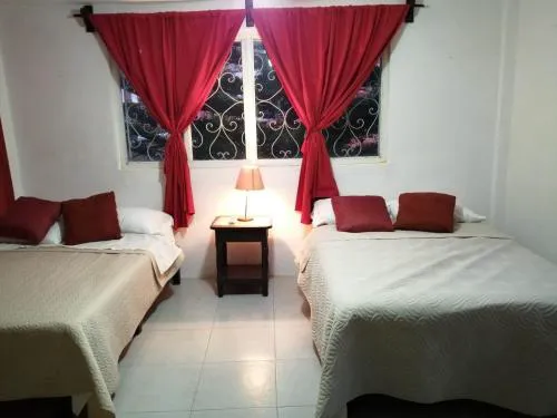 Casa Frida Hotel y Spa by Rotamundos hotel detail image 4