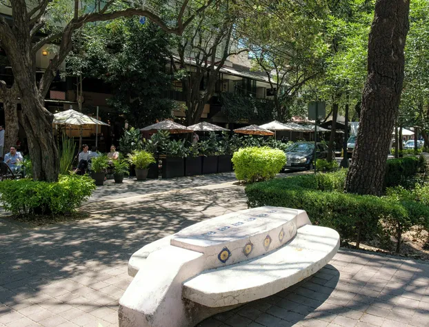 Casa Itzae B&B Polanquito Dog Friendly hotel detail image 3