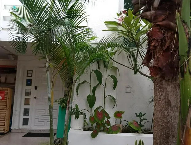 Downtown Mérida Hotel hotel detail image 2