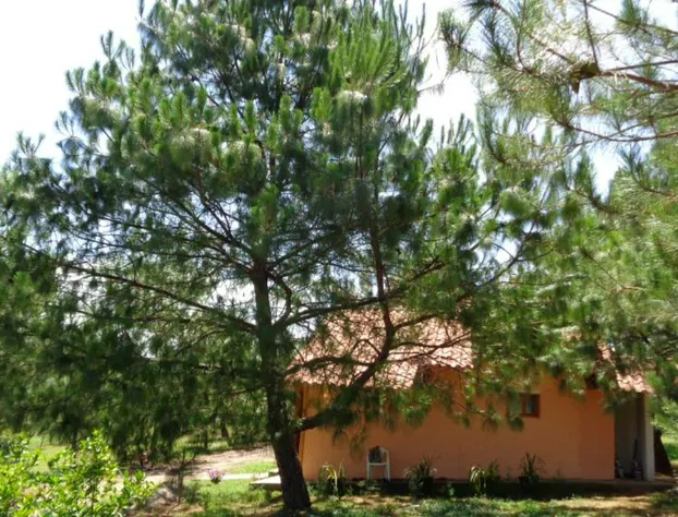 Cabañas Paseo Del Llano hotel detail image 3