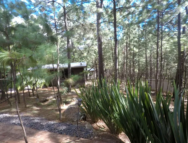 Rincón de María Mazamitla hotel detail image 3