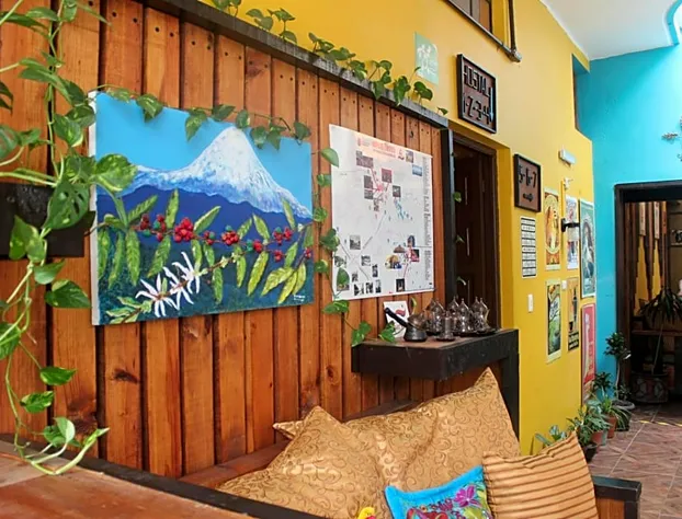 Casa Bonita Hotel y Hostal hotel detail image 2