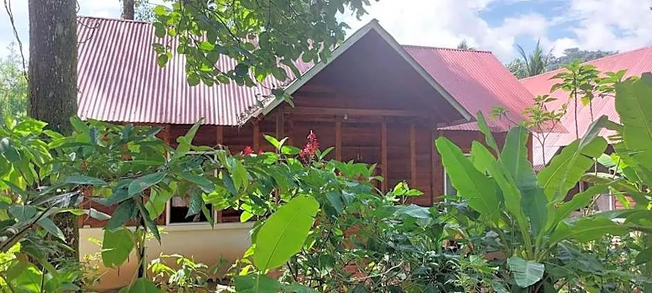 Cabaña Yax-ha hotel hero