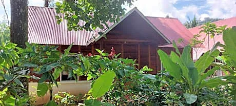 Cabaña Yax-ha hotel detail image 4