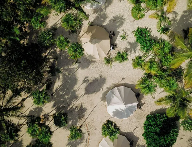 Hotel Cielo y Selva hotel detail image 4