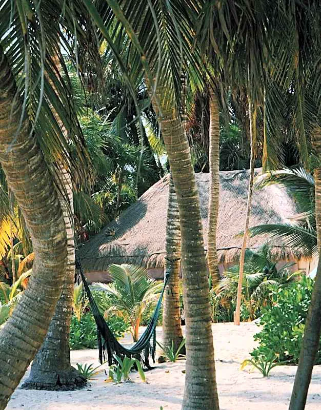 Hotel Cielo y Selva hotel hero