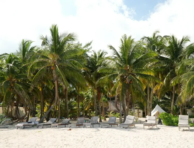 Hotel Cielo y Selva hotel detail image 2