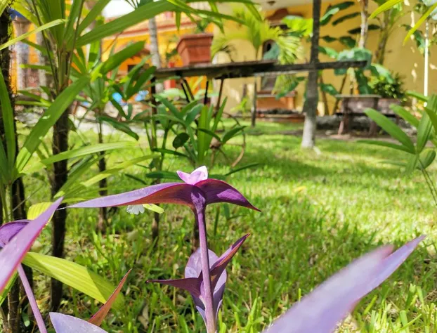 Hacienda Valentina hotel detail image 2