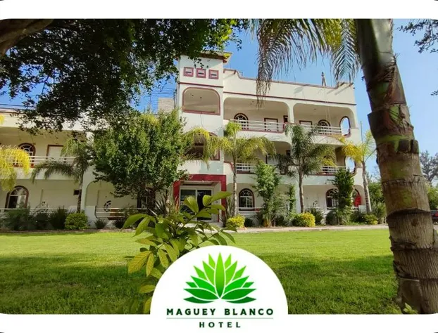 Hotel Maguey blanco hotel detail image 3