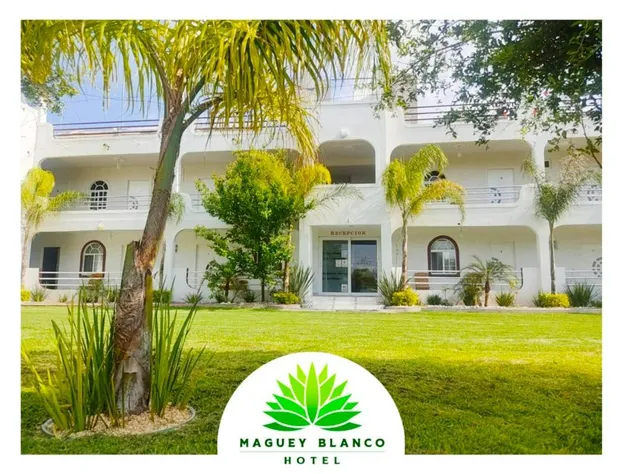 Hotel Maguey blanco hotel detail image 4