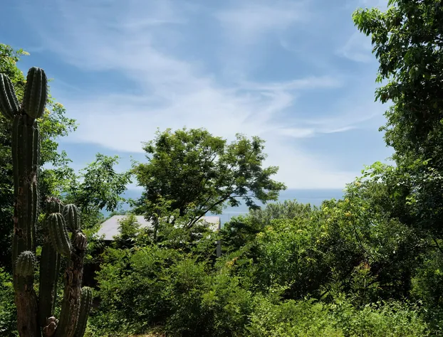 Cocolia Hotel hotel detail image 4