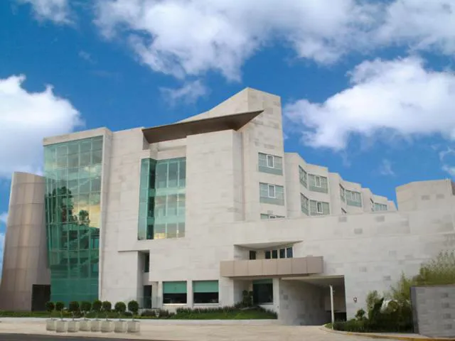 Hotel Madeira hotel hero