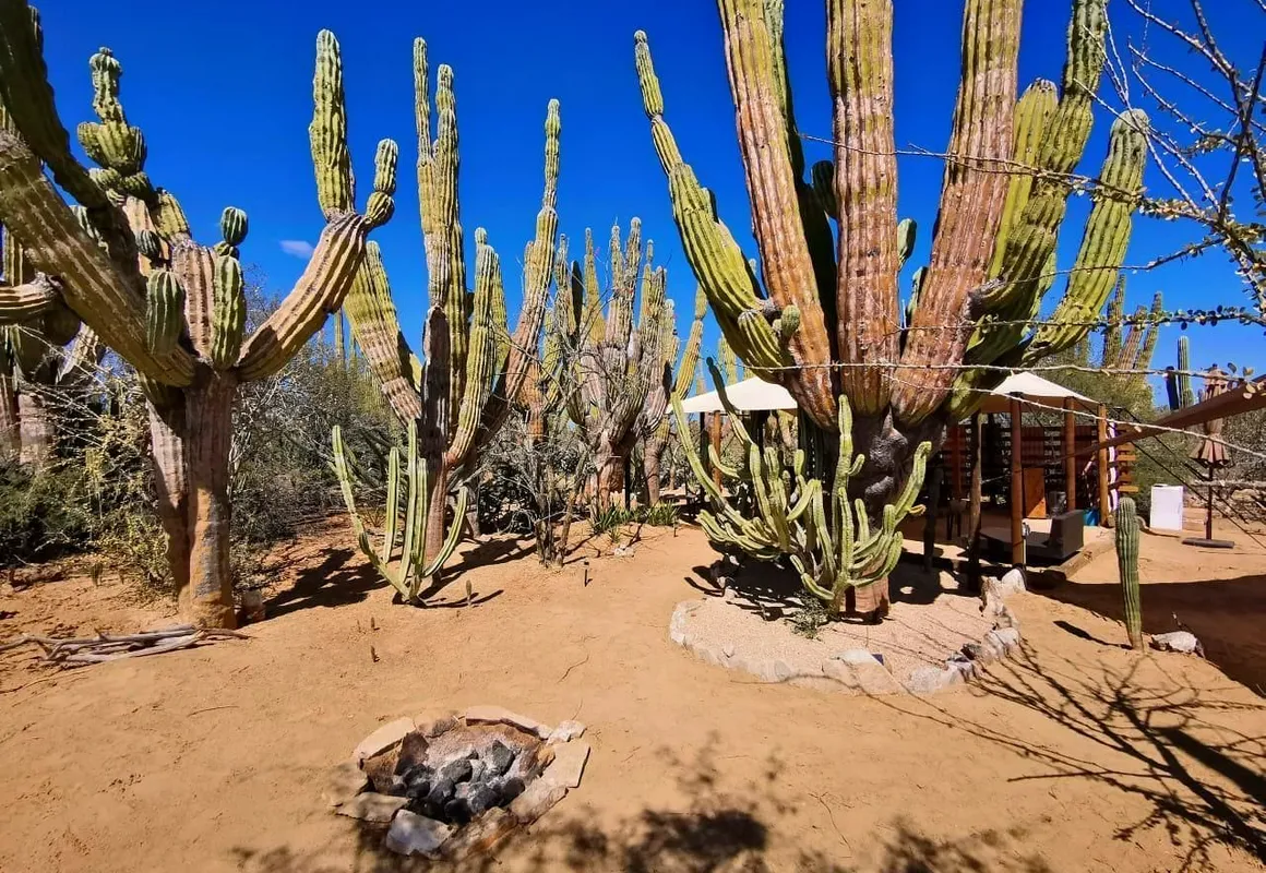 Wind Rider Club hotel hero