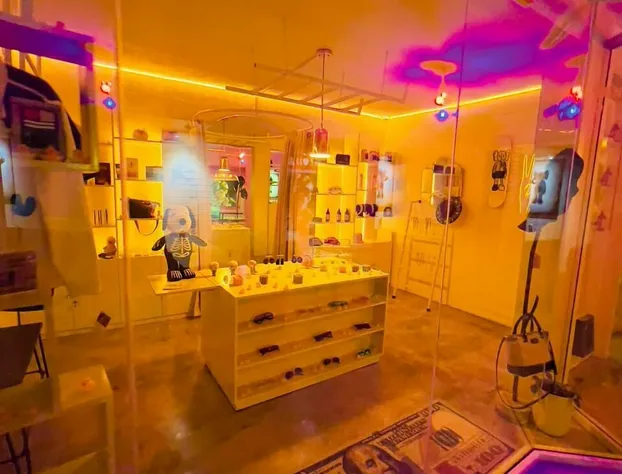 Hotel Suculenta Boutique hotel detail image 2