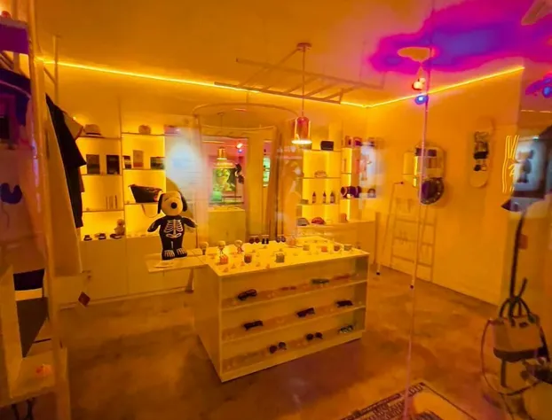 Hotel Suculenta Boutique hotel detail image 3