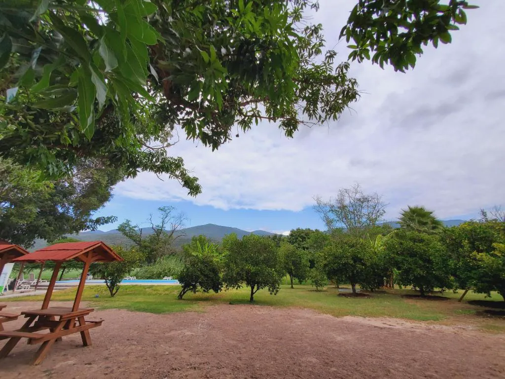 Hotel Los Laureles hotel hero