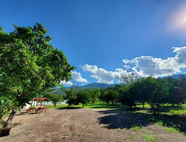 Hotel Los Laureles hotel detail image 1