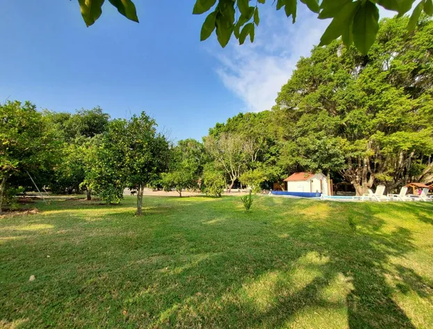 Hotel Los Laureles hotel detail image 4