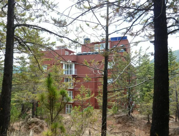 Hotel Gold hotel detail image 4