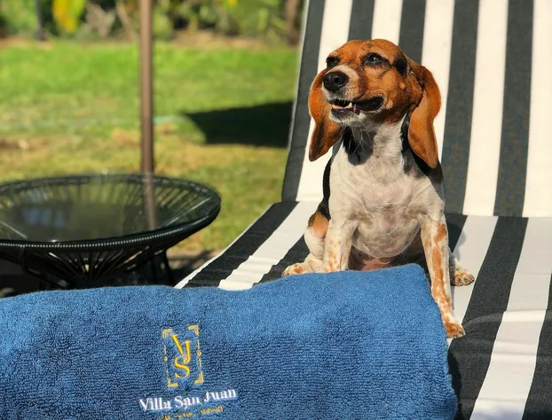 A Villa San Juan Bed & Breakfast hotel detail image 4