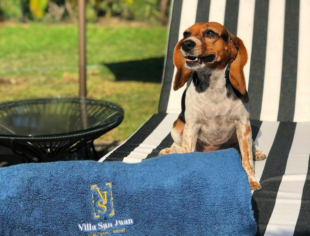A Villa San Juan Bed & Breakfast hotel detail image 4