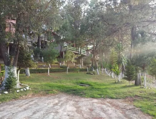 Cabañas Los Bosques del Zembo hotel detail image 1