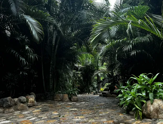 Hotel Gallo de Mar hotel detail image 2