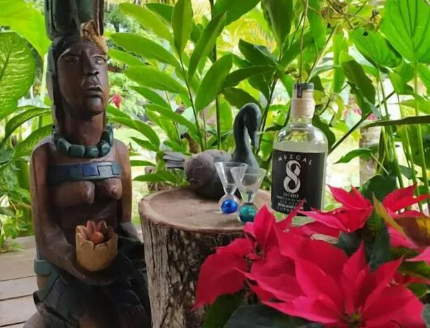 Posada Ixchel hotel detail image 1