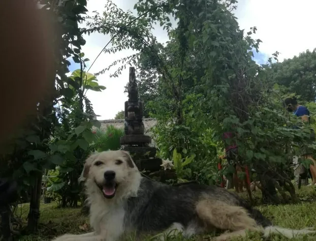 Posada Ixchel hotel detail image 4