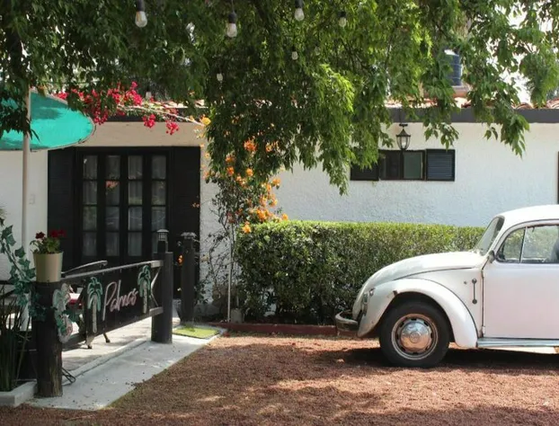 Hotel Palmas Teotihuacan hotel detail image 4