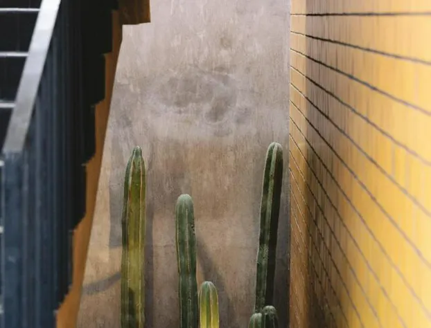 Casa Hoyos hotel detail image 1