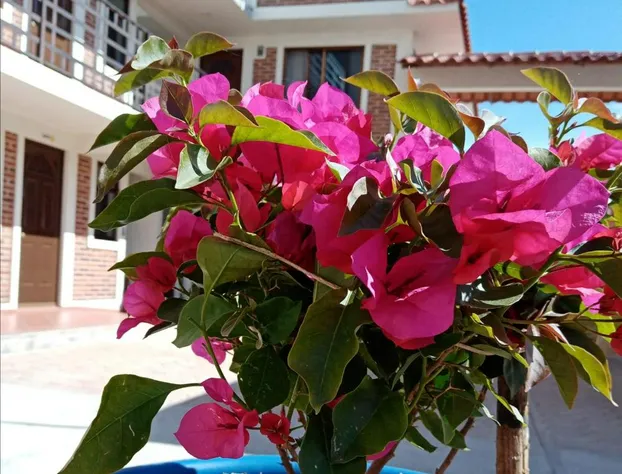 Hotel Tlatoani hotel detail image 2