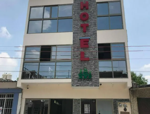 Hotel Los Pinos Centro hotel detail image 1