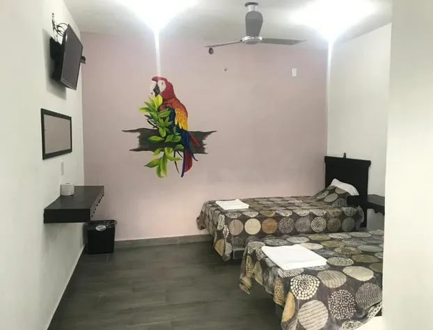 Hotel Los Pinos Centro hotel detail image 2