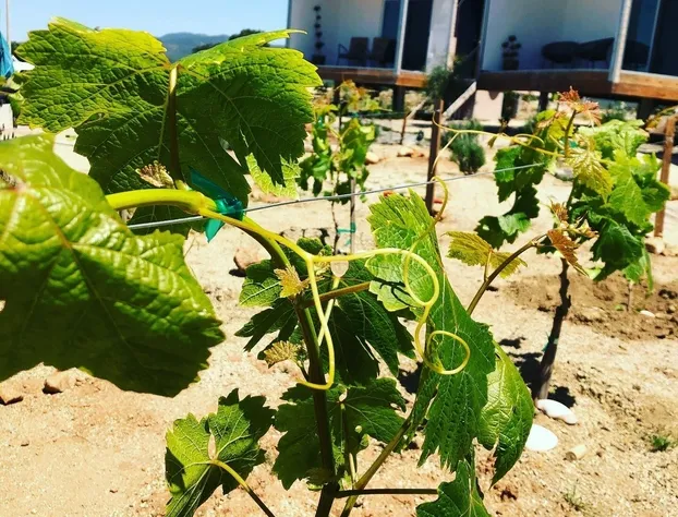 Rincón del Corazón hotel detail image 3