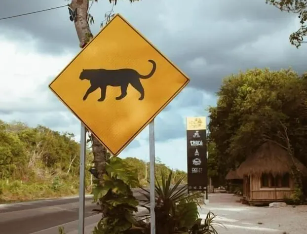Hotel Chacá hotel detail image 1